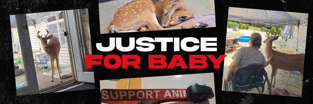 Baby The Deer Banner